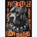 Bluza męska Pitbull Blacky Hooded black 7
