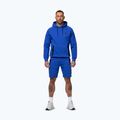Bluza męska Pitbull Dogwood Hooded Sweatshirt imperial blue 2