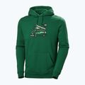 Bluza męska Helly Hansen F2F Organic Cotton Hoodie malachite/488 4
