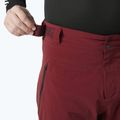 Spodnie narciarskie męskie Helly Hansen Alpha Lifaloft mars red 3