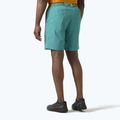 Spodenki żeglarskie męskie Helly Hansen Hp Sirocco 9" dark mint 2