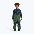 Komplet narciarski dziecięcy Didriksons Skare pine green 10