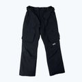 Spodnie snowboardowe męskie Colourwear Flight black 8
