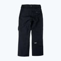 Spodnie snowboardowe męskie Colourwear Flight black 9
