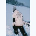 Spodnie snowboardowe męskie Colourwear Flight black 12