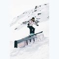 Spodnie snowboardowe męskie Colourwear Flight black 13