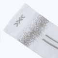 Skarpety X-Socks Terraskin Perform Crew x white/silver grey 3