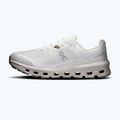Buty do biegania męskie On Cloudvista 2 Waterproof ice/pearl 2