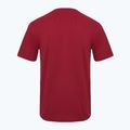 Koszulka męska Aeronautica Militare Essential burgundy 2