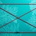 Zestaw deska SUP pompowana ABSTRACT Coral 10'6'' topaz 3