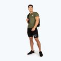 Koszulka treningowa męska Gorilla Wear York green 6