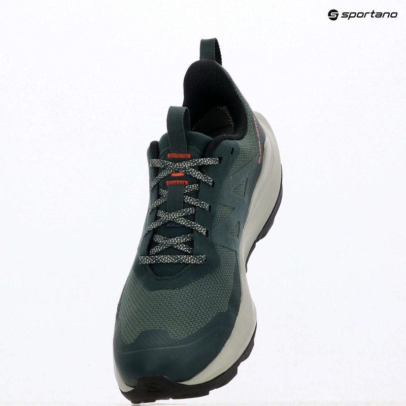 Buty turystyczne męskie Salomon Elixir Activ GTX scarab/green gable 10