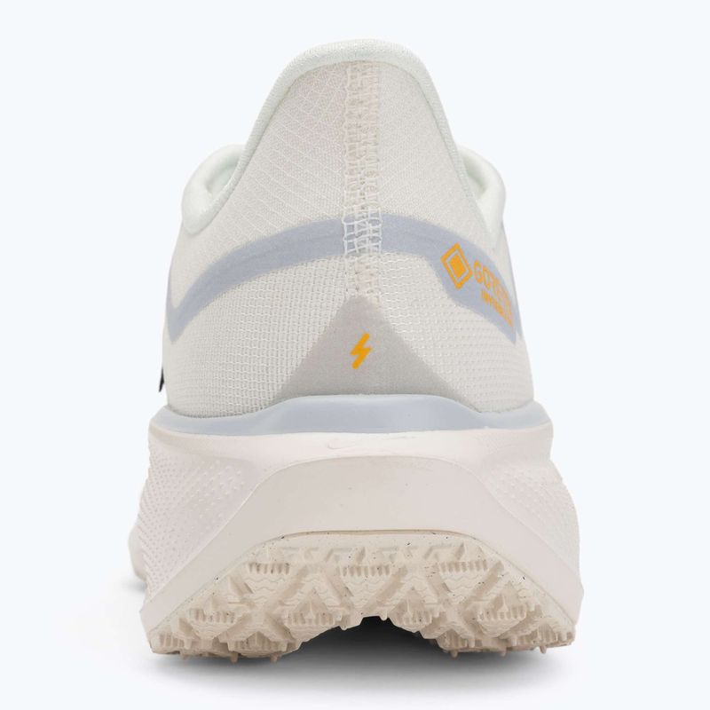 Buty do biegania męskie Nike Pegasus 41 GTX sail/football grey/sundial/ashen slate 6