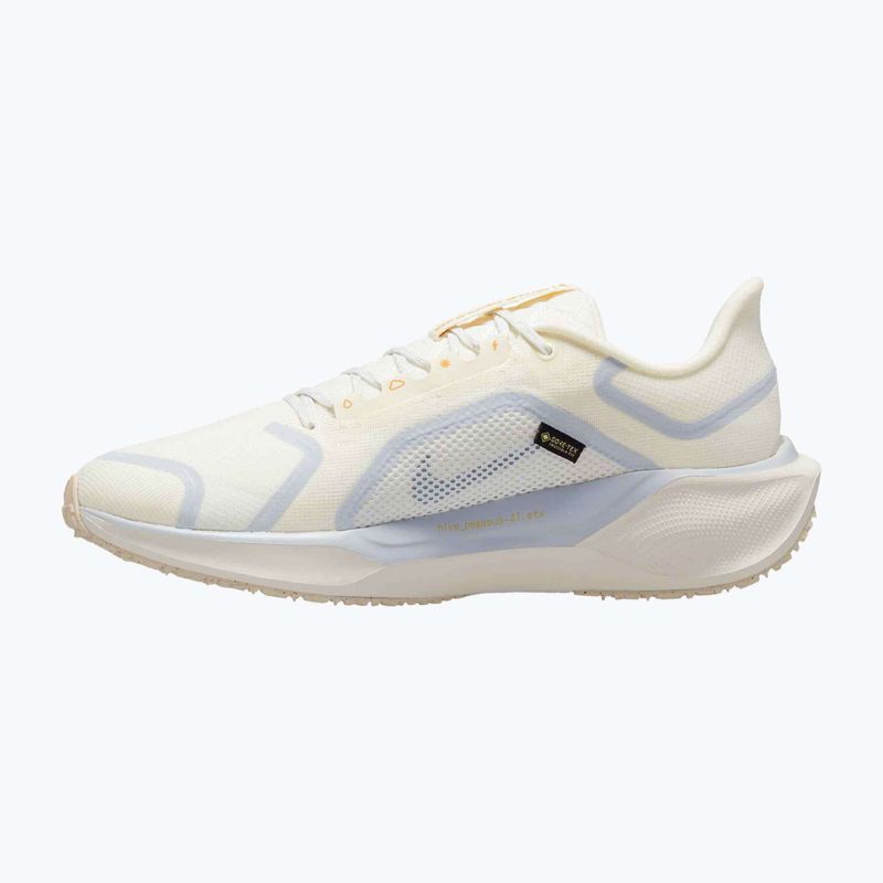 Buty do biegania męskie Nike Pegasus 41 GTX sail/football grey/sundial/ashen slate 9
