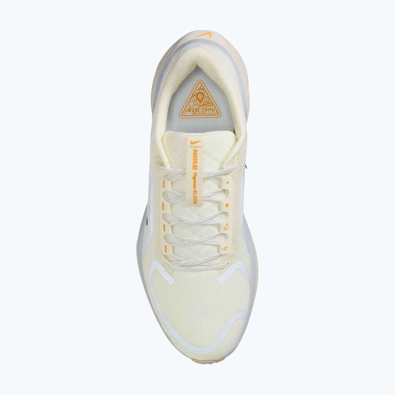 Buty do biegania męskie Nike Pegasus 41 GTX sail/football grey/sundial/ashen slate 10