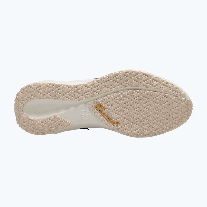 Buty do biegania męskie Nike Pegasus 41 GTX sail/football grey/sundial/ashen slate 11