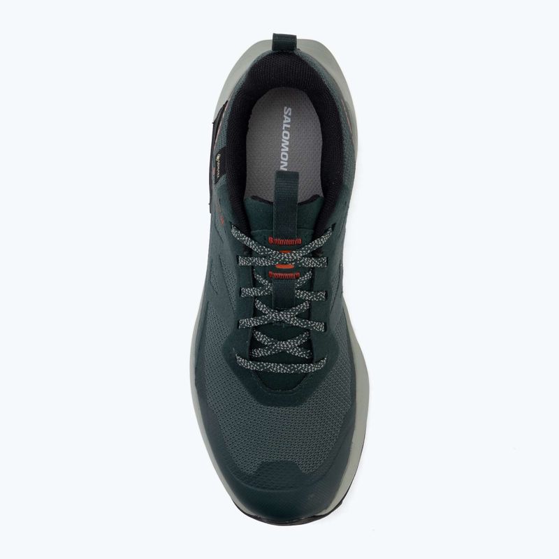 Buty turystyczne męskie Salomon Elixir Activ GTX scarab/green gable 5