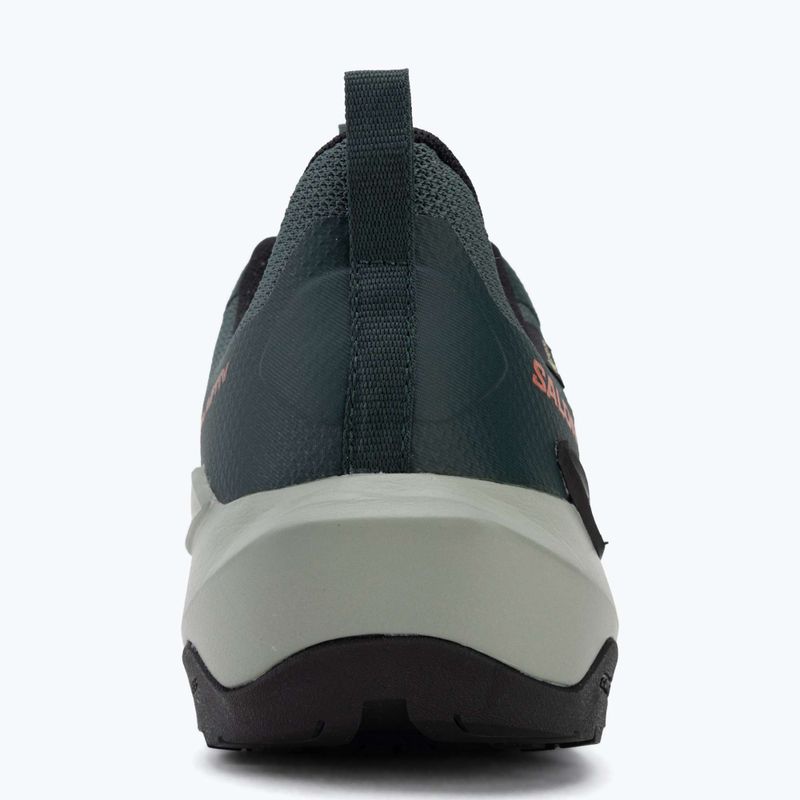 Buty turystyczne męskie Salomon Elixir Activ GTX scarab/green gable 6