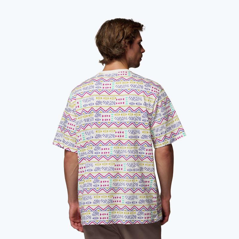 Koszulka męska Columbia CSC Heavyweight Printed Tee sea salt/horizons 3