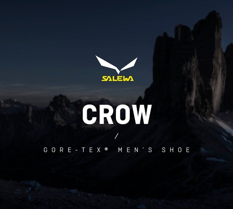 Buty wysokogórskie męskie Salewa Crow GTX wallnut/fluo orange 12