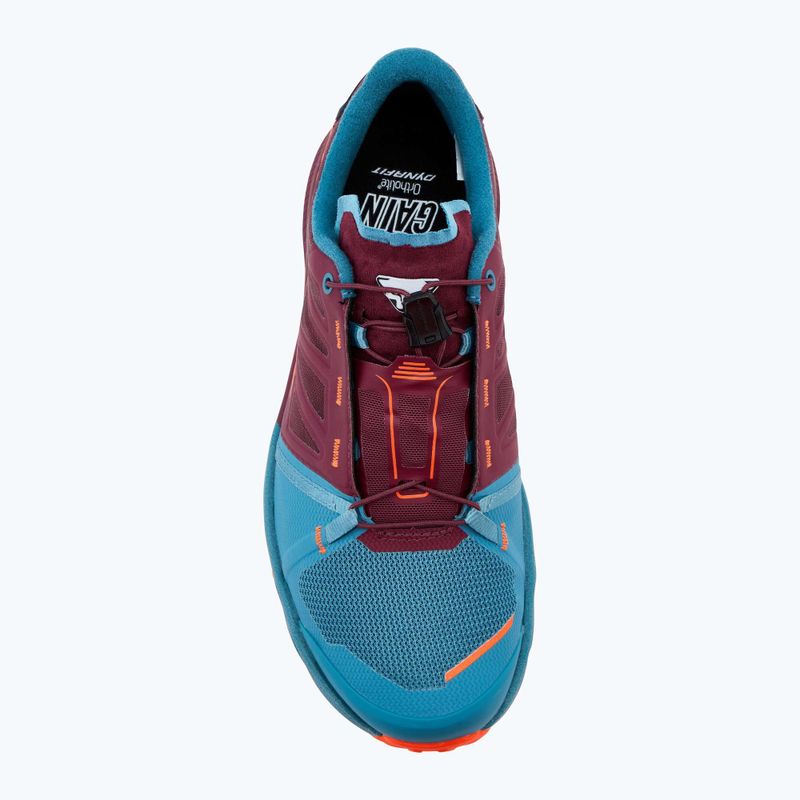 Buty do biegania męskie DYNAFIT Alpine Pro 2 storm blue/burgundy 5