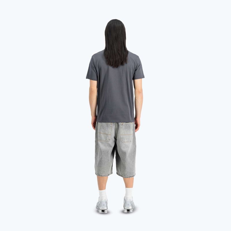 Koszulka męska Alpha Industries Hawaii vintage grey 3