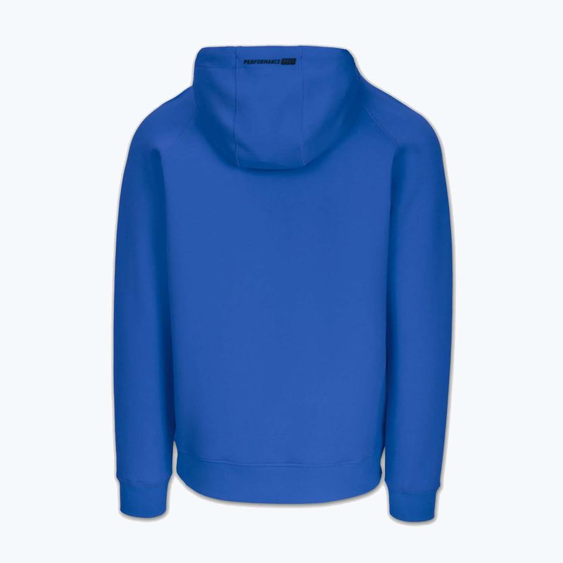 Bluza męska Pitbull Dogwood Hooded Sweatshirt imperial blue 5
