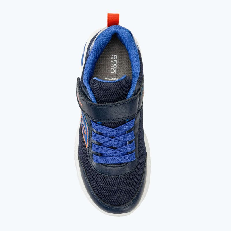 Buty juniorskie Geox Assister blue/royal 5