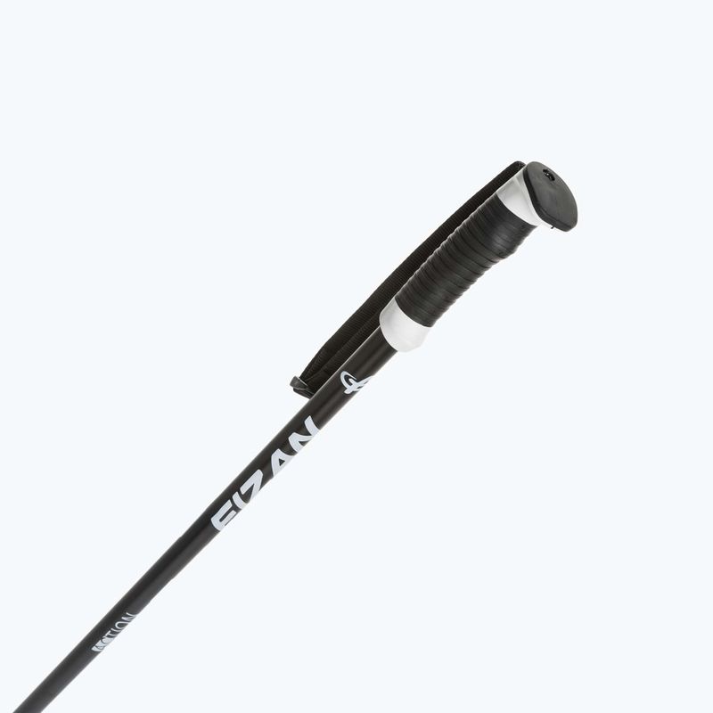 Kije narciarskie Fizan Action Pro black 2