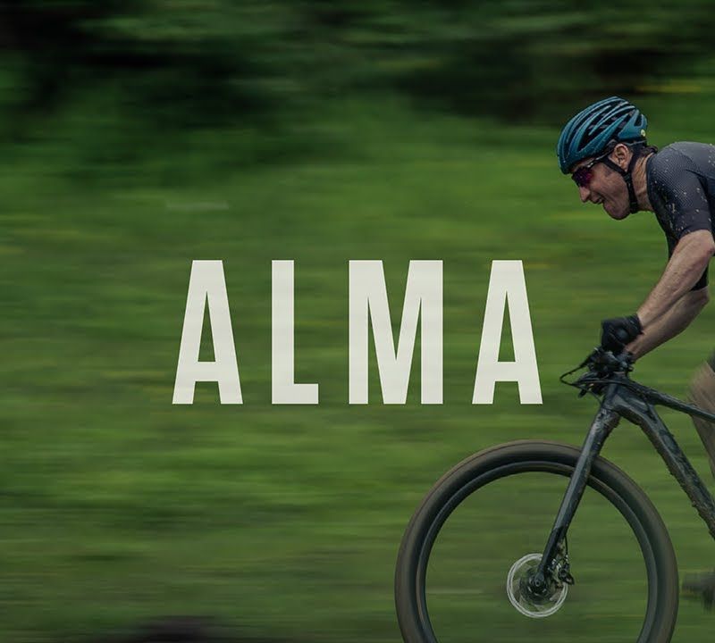 Rower górski Orbea Alma H50 blue/red 15