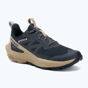 Buty turystyczne męskie Salomon Elixir Activ carbon/slate green/glacier