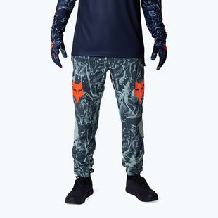 Spodnie rowerowe męskie Fox Racing Ranger Image Print arctic blue