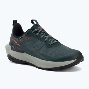 Buty turystyczne męskie Salomon Elixir Activ GTX scarab/green gable