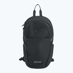 Plecak miejski REGATTA Everyday Prism 15 l ash