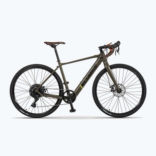 Rower elektryczny EcoBike Forest 36V 9.7Ah 349.2Wh green