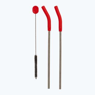 Słomki Hydro Flask Stainless Steel Straw 2 szt. goji