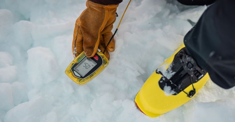 Detektor lawinowy – co to, jak działa, jaki wybrać?