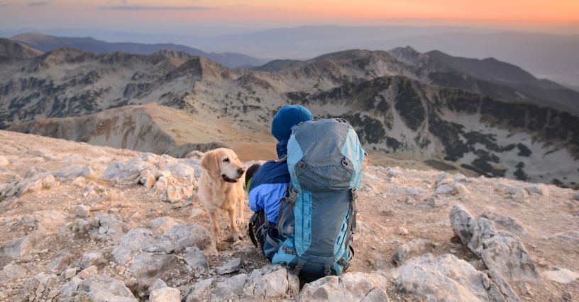 Góry z psem – jak się przygotować, gdzie jechać, co zabrać? 