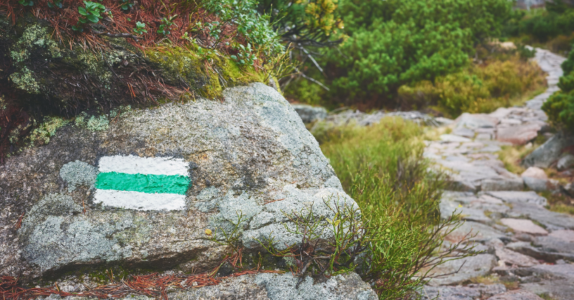 Oznaczenia szlaków – co oznaczają kolory szlaków, który z nich jest najłatwiejszy i jak czytać inne oznakowania tras turystycznych